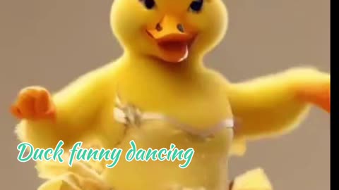 Duck funny dancing 💃 😄