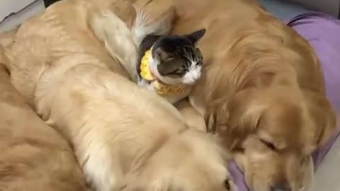 You're in my spot!