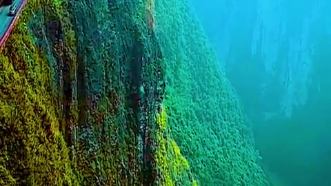 "Hills of Serenity: A Breathtaking View of Nature's Majestic Landscapes"