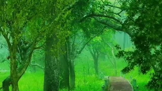 Summer rain, I already feel this natural freshness😍