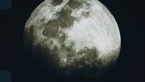 BDC Moonlight music video