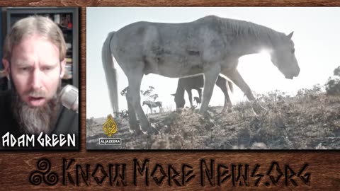 Trump Shills the Bible, Christian Zionist Documentary Review
