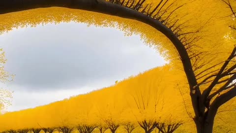 Amazing Places in the World