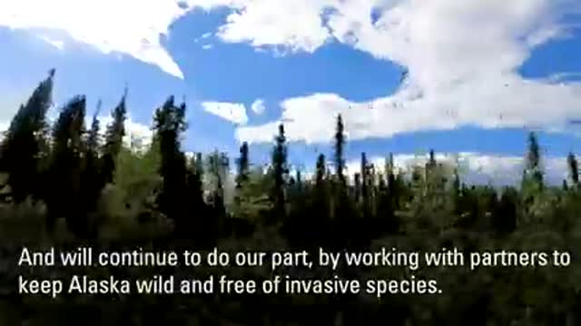 USFWS Alaska Video Submission for AK Invasive Species Workshop 2021_3