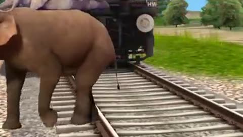 Animals lovers