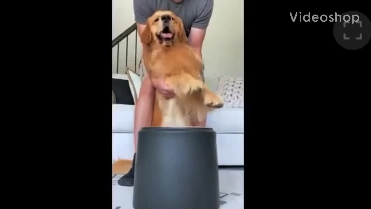 Drummer