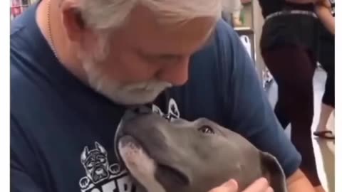 The way he looked at him after being rescued | dog lover