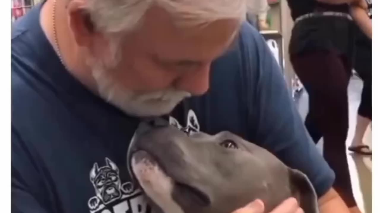 The way he looked at him after being rescued | dog lover