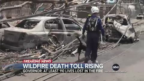 Death toll in Maui rises to over 100