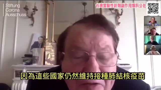 關於刺突蛋白和朊病毒的更多信息 蒙塔格尼耶 (Luc Montagnier): Video (2)