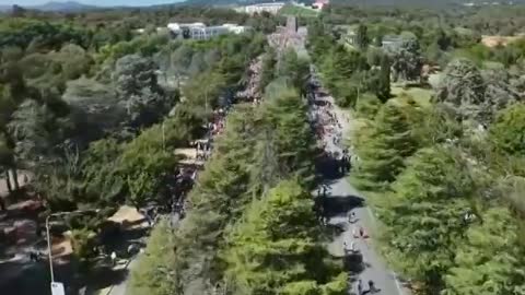 MSM: "A FEW People Came to Canberra (NOTHING TO SEE HERE)