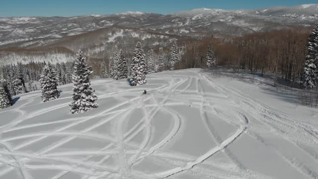 Colorado Snowmobiling - Feb 2022