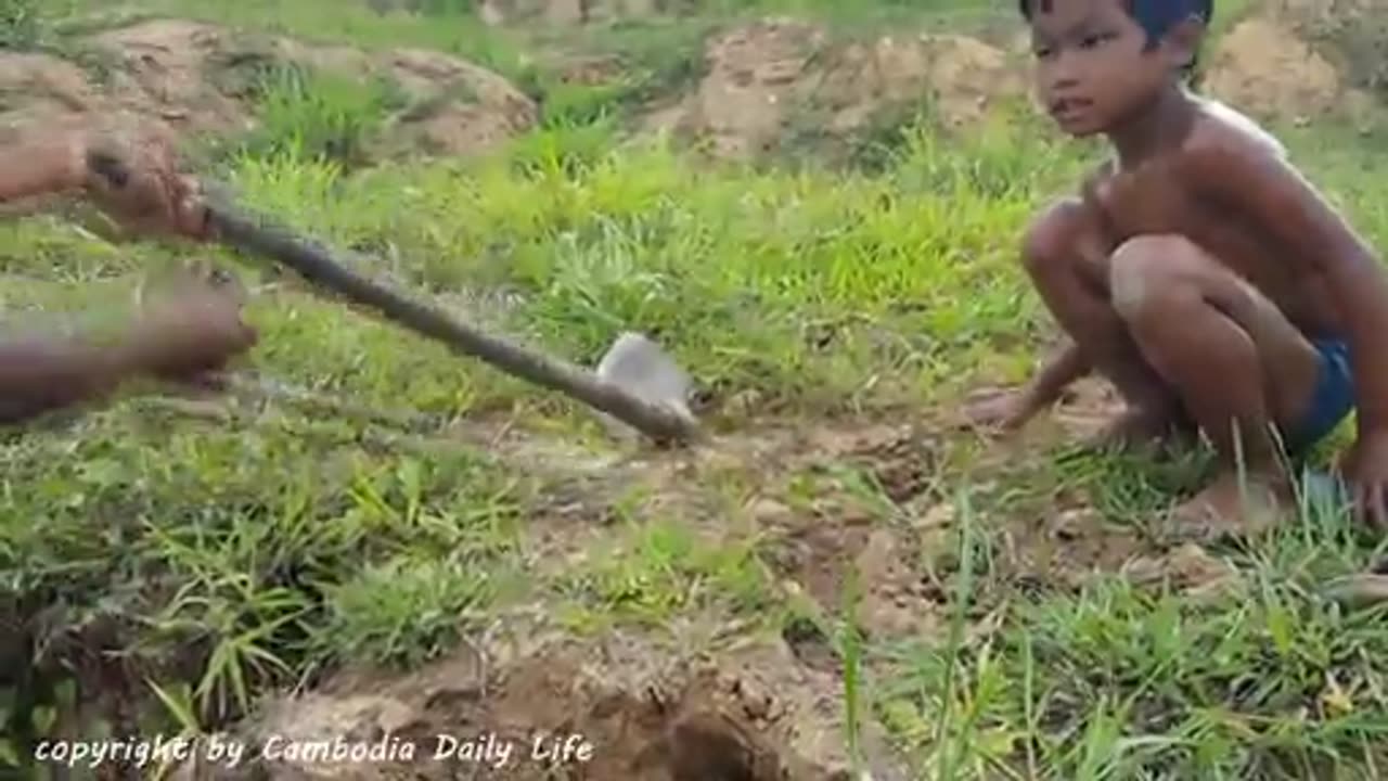 Wow! Two Brothers Catch Big Snake in Hole While Going Fishing