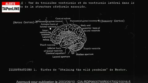 Comment échapper aux limites du temps et de l'espace selon la CIA ?