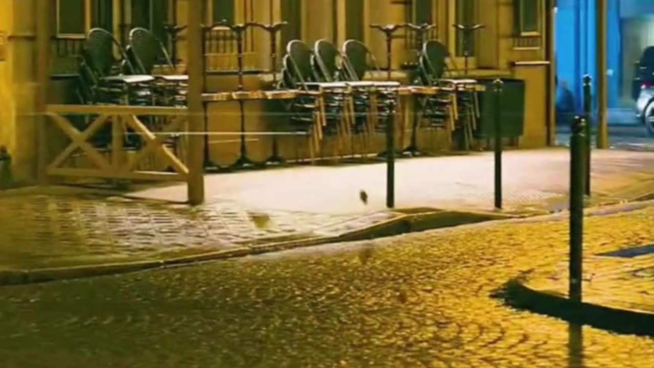 20 की महिला 80 का बुड्ढा, घोर अन्याय 🚶♂️_♀️💃_♀️ #movie #animation #shortsvideo @realshit