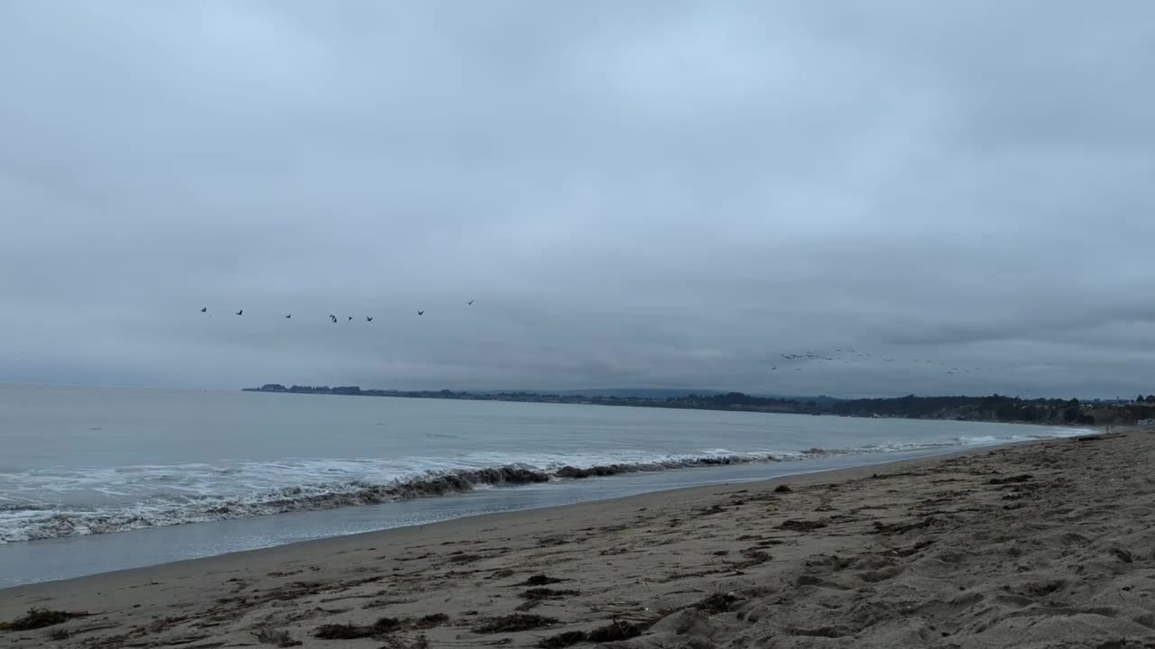 Tranquil Beach Time