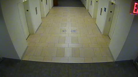 8427OHOB05MainElevatorLobby_2021-01-05_16h40min01s557ms.mp4