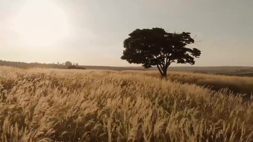 Scenic Nature - Gentle Worship Instrumentals