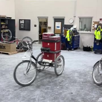 Deer in Shop at Work: Surprising Visitor