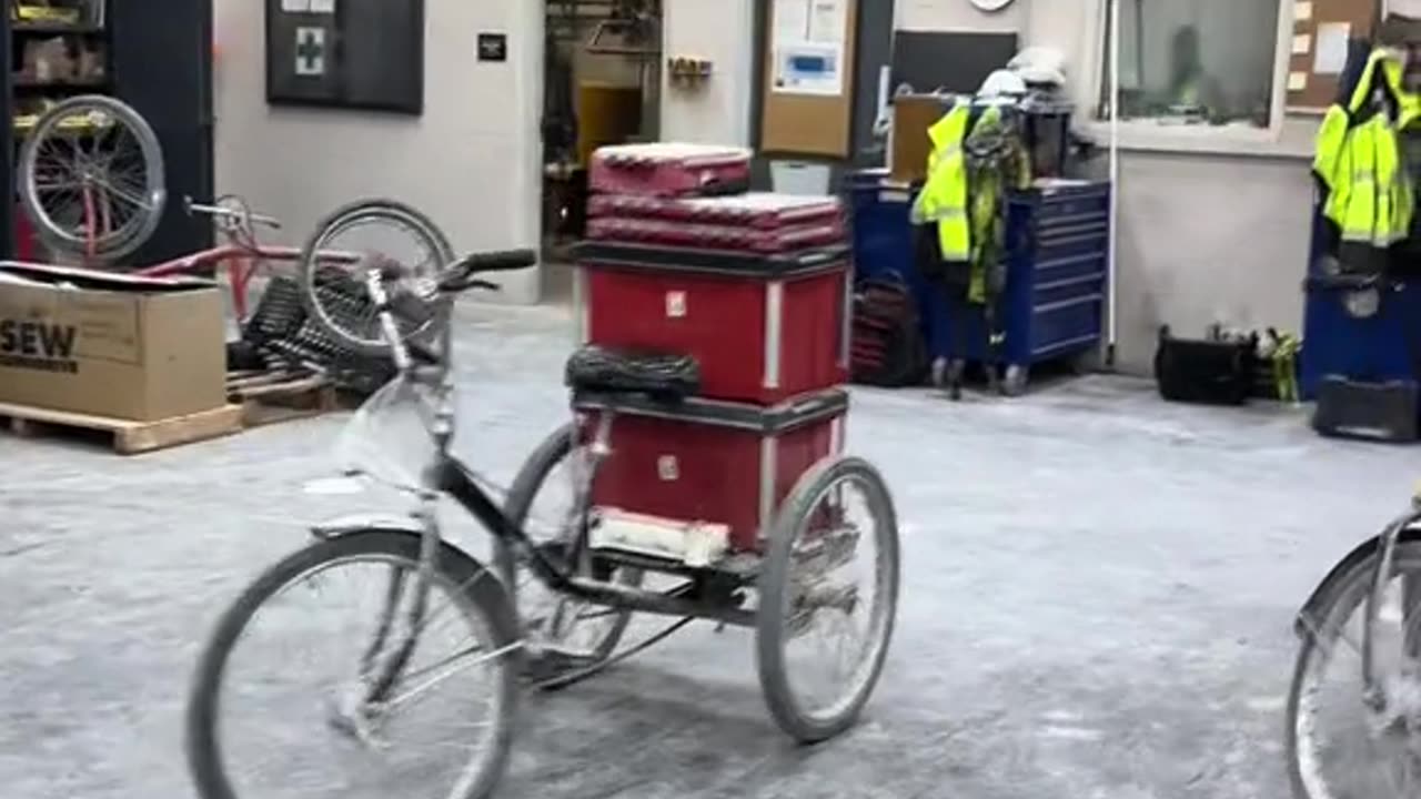Deer in Shop at Work: Surprising Visitor