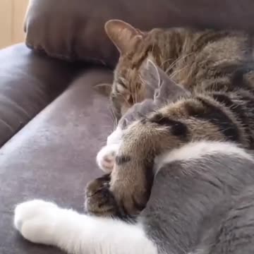 #FYP #ForYou #TikTokFYP #ForYouPage #Trending #Viral #ExplorePage #FYPシ