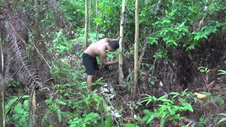 Primitive Life:build a chicken house from stone and wood! Full video!