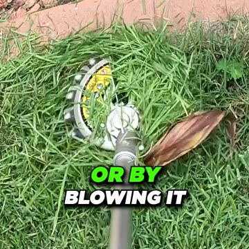 Rotary Scissor vs String Trimmer