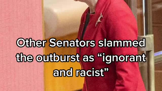 Pauline Hanson stormed out of the Senate during an acknowledgment to country)