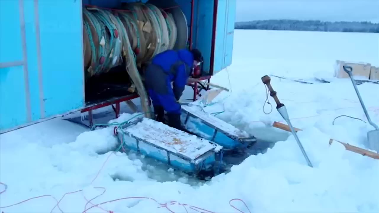 Amazing Ice Fishing - Fishing in Frozen Lake - Net Fishing skill in winter