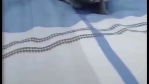 Best funny video #35