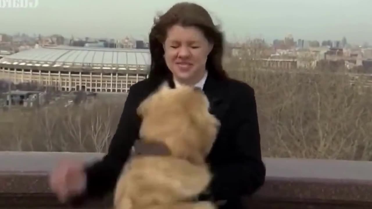 DOGUINHO QUER BRINCAR... | Bad boy...