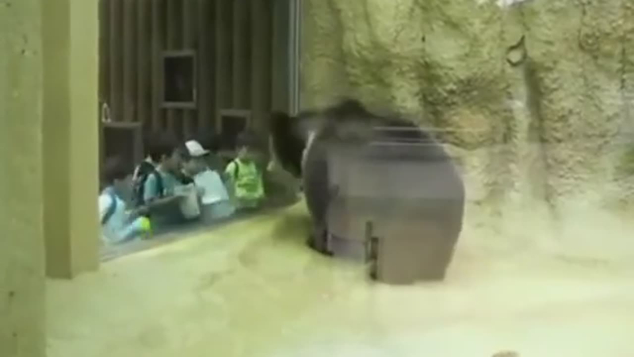 ‎