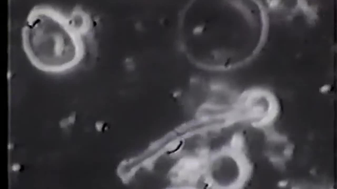Gaston Naessens Elucidating Upon Modern Microscopy (part one)