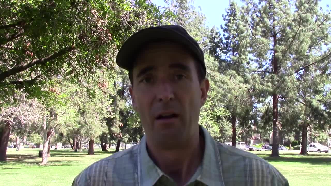 439. About Russia and China and the Illegal Attack on Syria