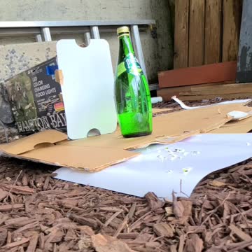 22 caliber pellet vs thick bottle