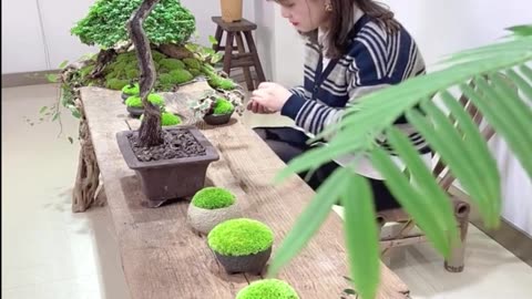 Creative Moss Micro Landscape Idea , Diy Micro Landscape Design For Home