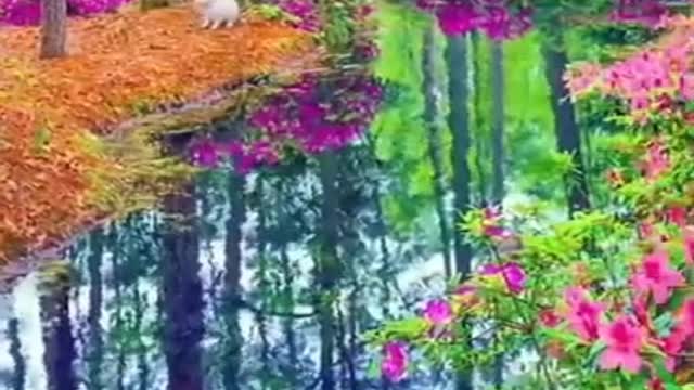 SUBHANALLAH πΊππ // natural beauty with recites