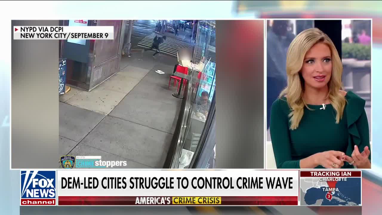 Kayleigh McEnany goes NUCLEAR on Biden's America: "It's YOUR party!"