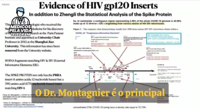 Dr. Richard Fleming compartilha a descoberta de Luc Montagnier