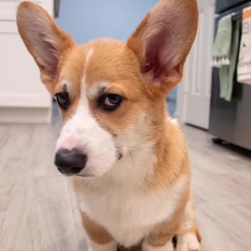 master of side eye😂