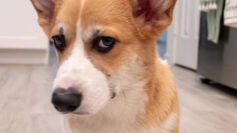 master of side eye😂