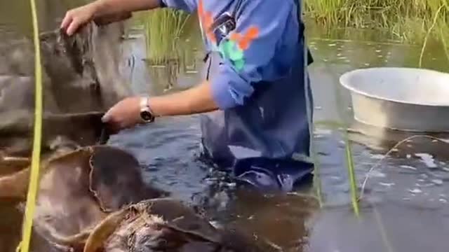 Some hotels even have ponds filled with fish for guests who enjoy fishing.
