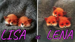 LISA OR LENA💖🥰|#14 ( CUTE ANIMALS 😍😚)