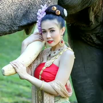 Beautiful elephant collection 🤠🤠