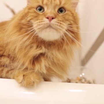 It has a very nice view