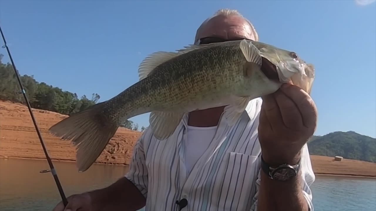 FISHING DAY AT SHASTA