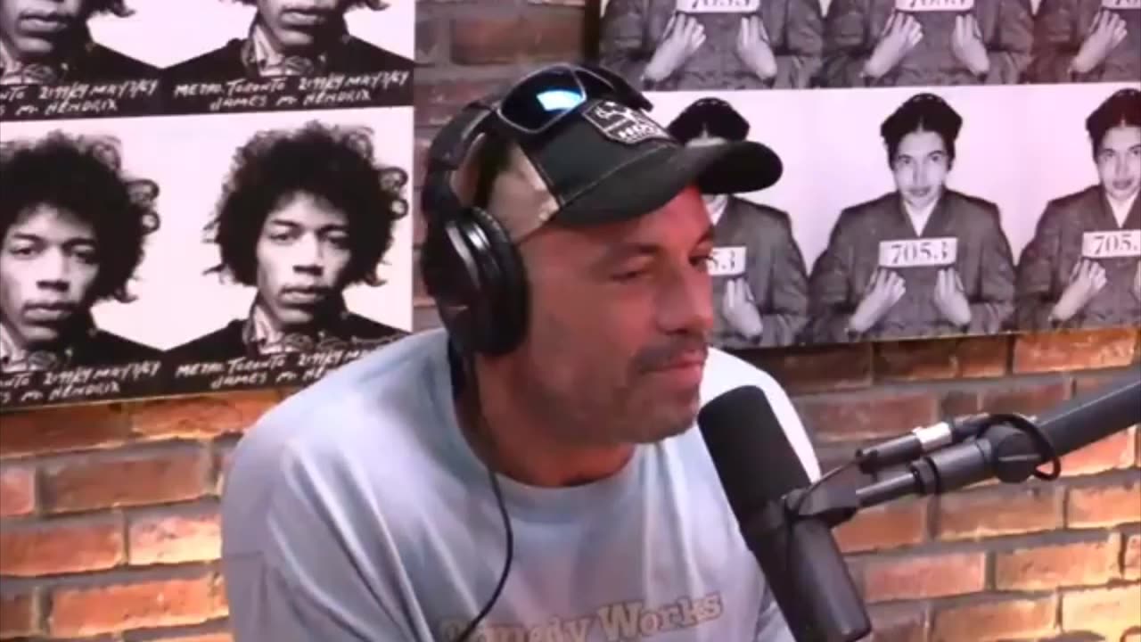 Joey Diaz makes Joe Rogan laugh hysterically