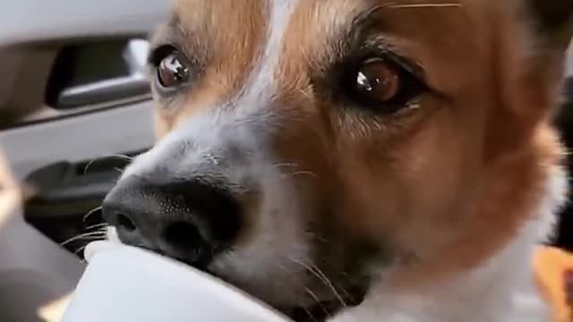 super super cute