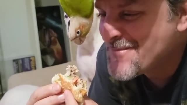 Conure Steals Cheese and Makes Dogs Jealous