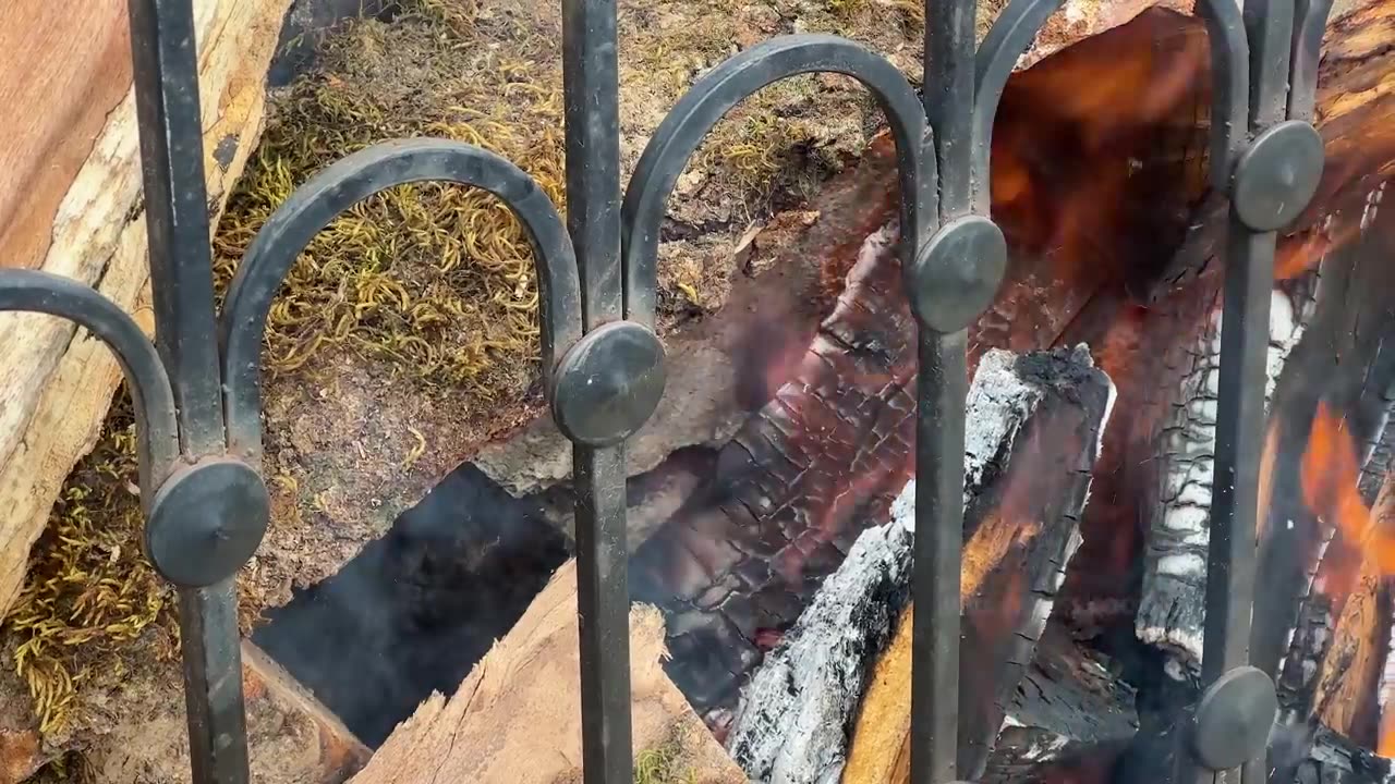 Roast a huge bull on a steel spit! The best meat I have tasted